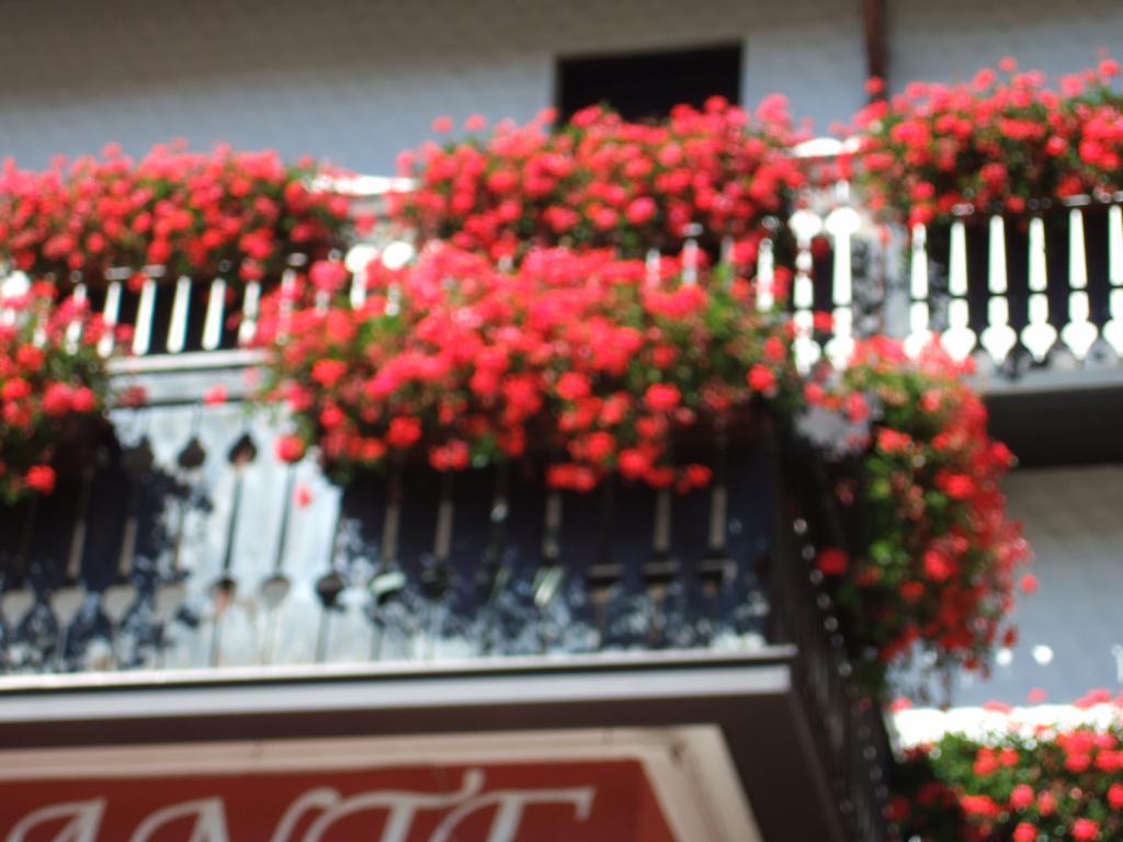 Albergo Trieste ตามเบร ดัลปาโก ห้อง รูปภาพ